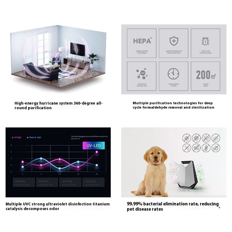 Premium Desktop Air Purifier — Anion, Formaldehyde Removal & Deodorization — Prime Trend Market