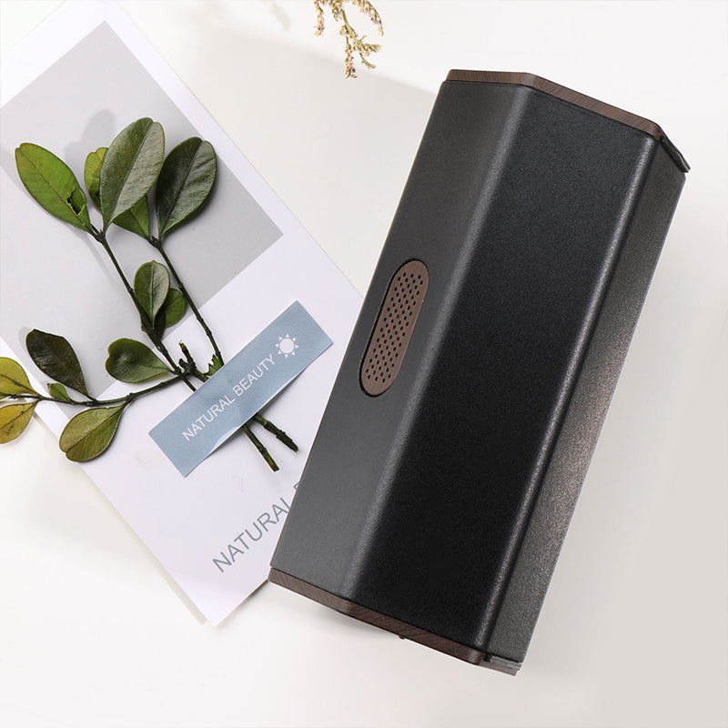 Car Air Purifier & Ozone Deodorizer — USB Rechargeable, Black & White — Prime Trend Market