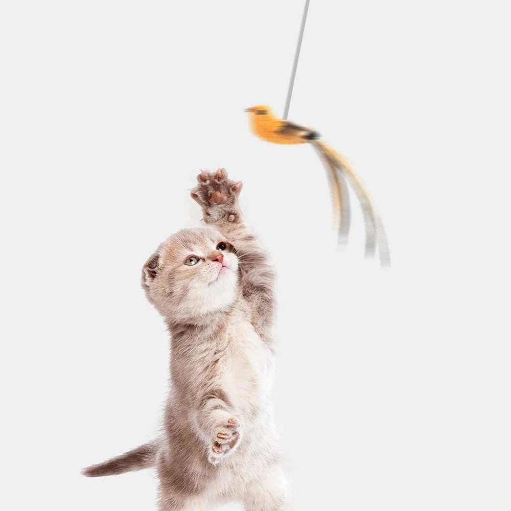 PawBird Auto-Lifting Feather Cat Toy – Automatic Rising Bird Teaser Interactive Puzzle Toy for Cats — Prime Trend Market