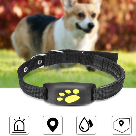 PawGuard GPS Pet Tracker – Real-Time Anti-Lost Dog & Cat Collar Device with Geofence Alarm | Multi-Pack Bundle — Prime Trend Market