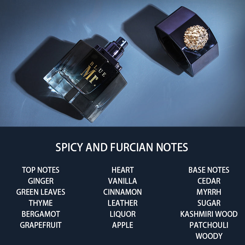 Men's Niche Long-Lasting Fragrance Perfume — Premium Eau De Parfum for Him — Prime Trend Market