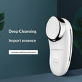 Luxury Facial Beauty Instrument — Sonic Vibration & Negative Ion Skin Rejuvenation Device — Prime Trend Market