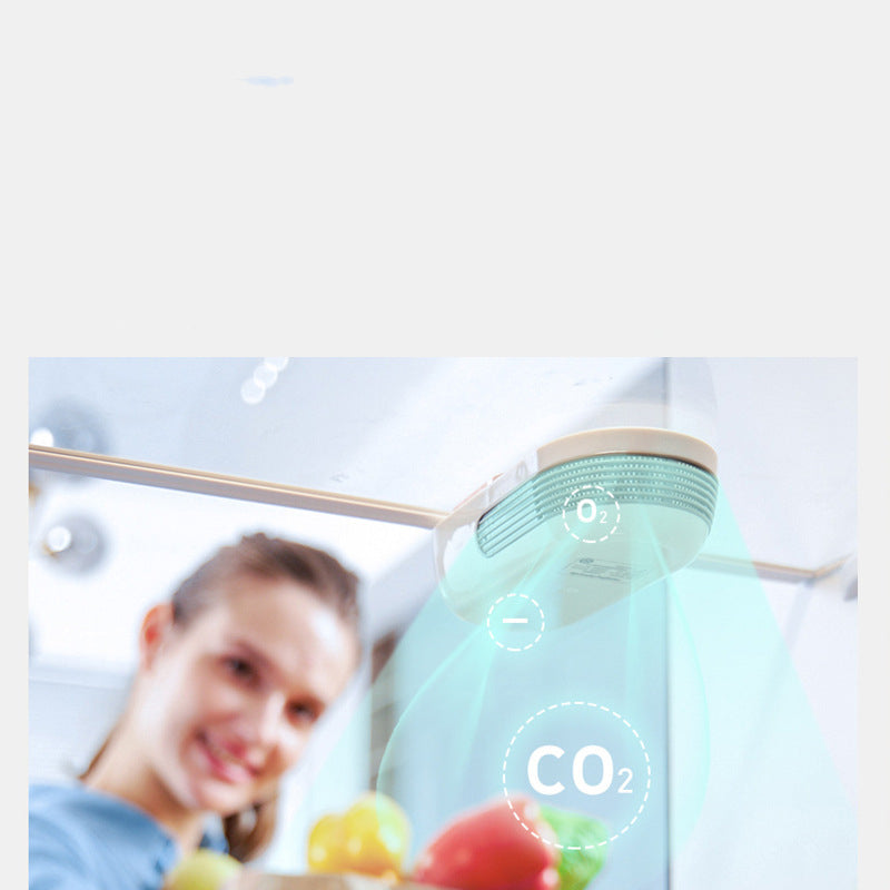 Ozone & Negative Ion Refrigerator Deodorizer Purifier — USB Powered — Prime Trend Market