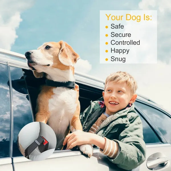 Premium 2-Pack Pet Car Safety Seat Belt — Adjustable Harness Leash for Dogs & Cats — Prime Trend Market