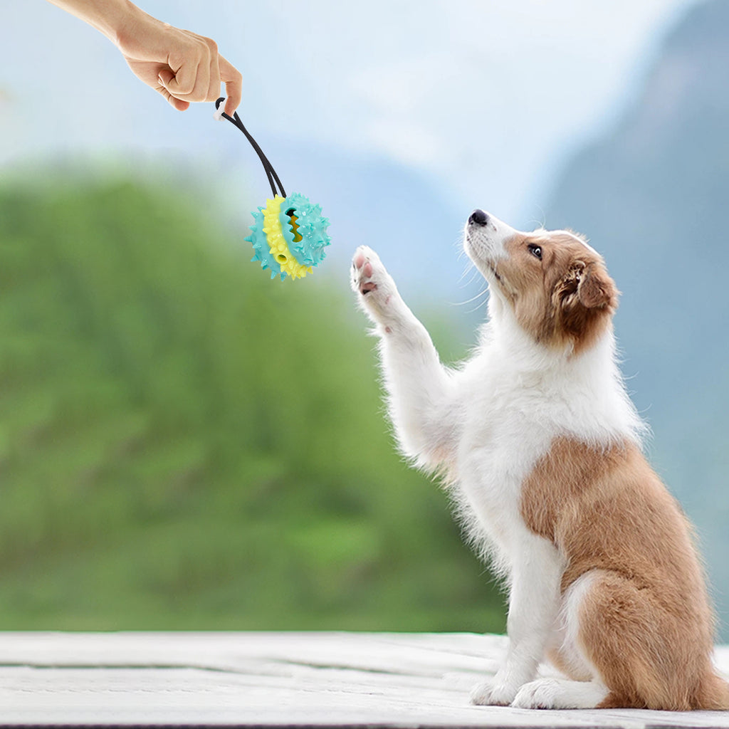 PawTreat 3-in-1 Rope Squeaky Leaking Food Ball Toy – Interactive Treat Dispenser for Cats & Dogs — Prime Trend Market
