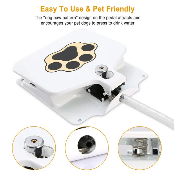 Dog Water Fountain — Step-On Activated Outdoor Pet Water Dispenser & Sprinkler — Prime Trend Market