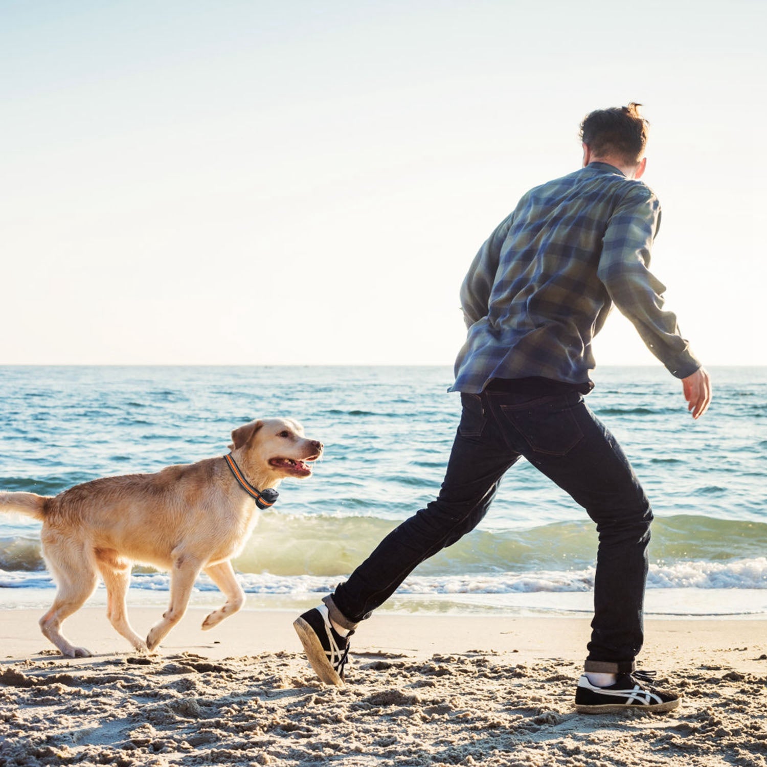 2-in-1 Dog GPS Fence Tracker & Wireless Collar — IPX6 Waterproof, 760 Acres, iOS Compatible — Prime Trend Market