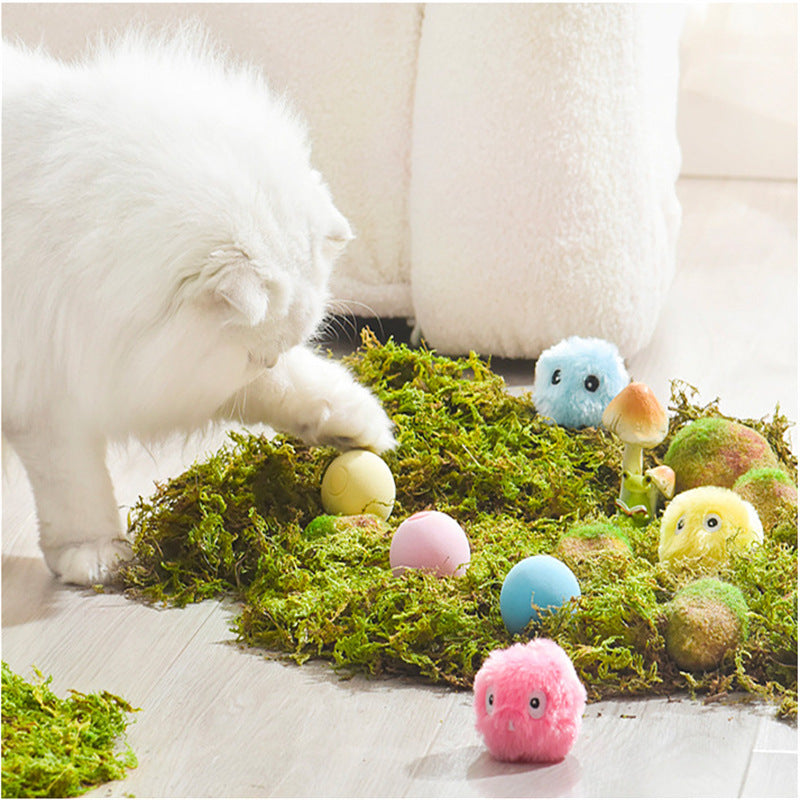 Luxury Luminous Catnip Sound Ball Cat Toy — Glowing Molar Plush Toy for Cats & Dogs — Prime Trend Market