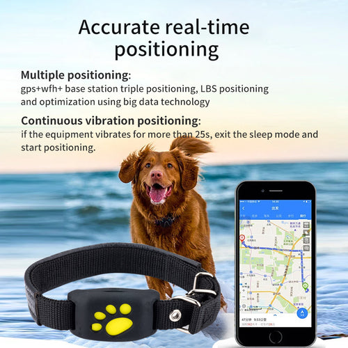 AquaTrack Pro Waterproof GPS Pet Tracker – Real-Time 4G Locator with Geo-Fence Alarm | 4 Colors — Prime Trend Market