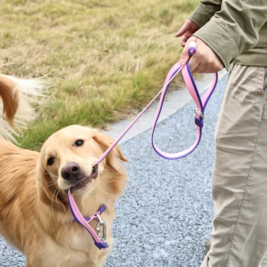 Dual-Color Embossed Pet Leash Set — Waterproof PVC Collar & Leash with DIY Accessories for Dogs — Prime Trend Market