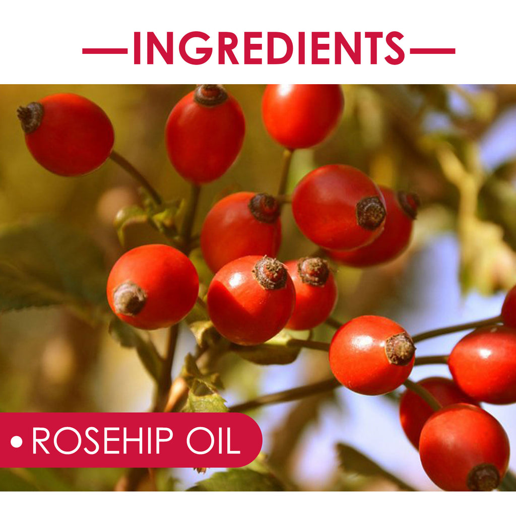 EELHOE Rosehip Facial Oil — Multi-Use Face, Body, Hair & Massage Oil | Hydrating, Nourishing & Brightening Skin Care (1pc) — Prime Trend Market