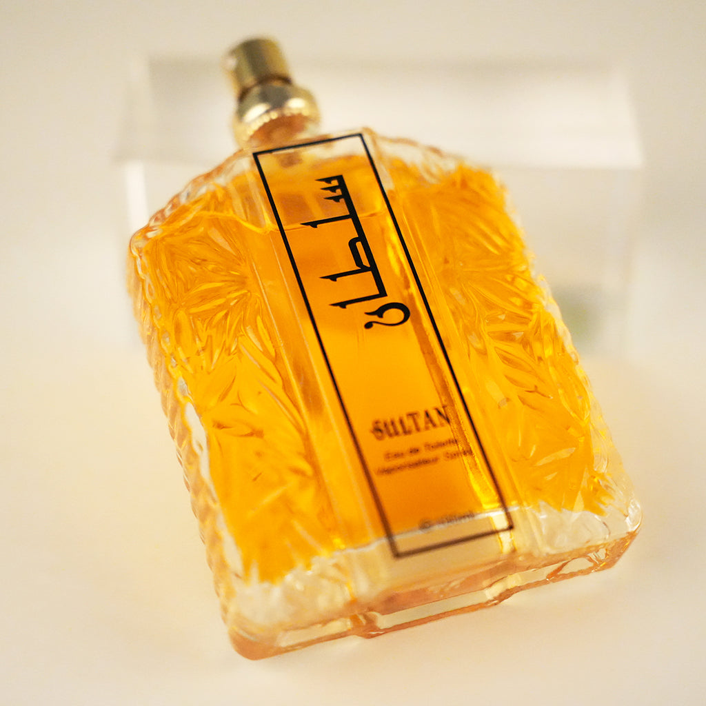 Niche Long-Lasting Fragrance Perfume 100ml — Unisex Eau De Parfum for Men & Women — Prime Trend Market