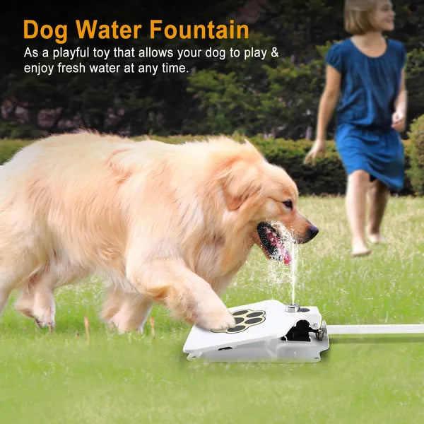Dog Water Fountain — Step-On Activated Outdoor Pet Water Dispenser & Sprinkler — Prime Trend Market