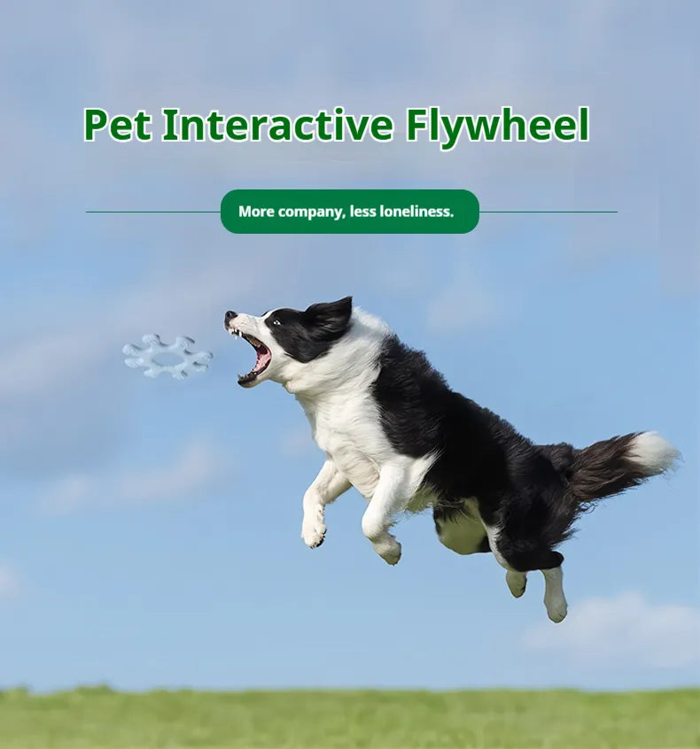 Pet Interactive Flywheel Toy — Spinning Silicone Dog Toy for Fun, Bonding & Mental Stimulation — Prime Trend Market