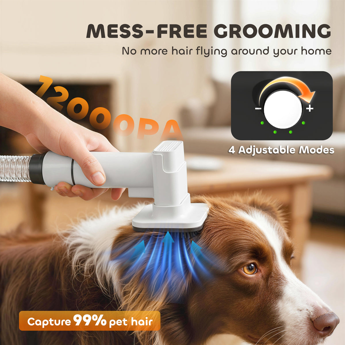 GroomPro™ 5-in-1 Professional Dog Grooming Vacuum & Dryer Kit — Low Noise, Smart Temp Control — Prime Trend Market