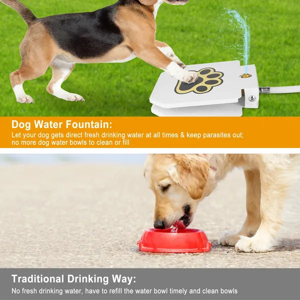 Dog Water Fountain — Step-On Activated Outdoor Pet Water Dispenser & Sprinkler — Prime Trend Market