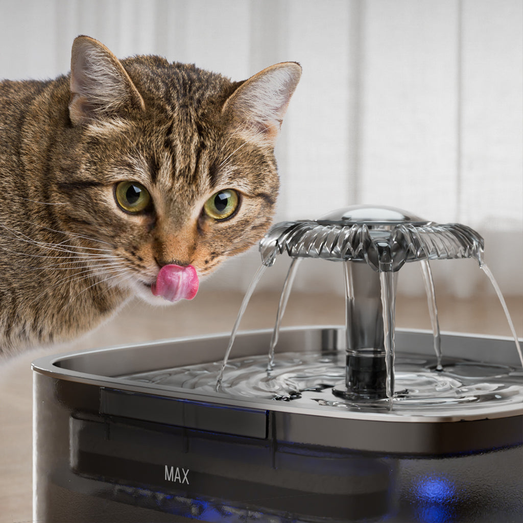 Luxury Stainless Steel Smart Cat Water Feeder — Auto-Flow Induction Fountain with Filter — Prime Trend Market