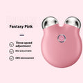 Luxury Bear-Face Microcurrent EMS Facial Sculpting Device — Anion Skin Renewal & Color Light Therapy — Eliza & Tuan