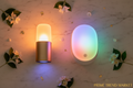 Ambient Room Bundle | Smart Sunset Lamp + RGB Night Light Wireless Charger — Prime Trend Market