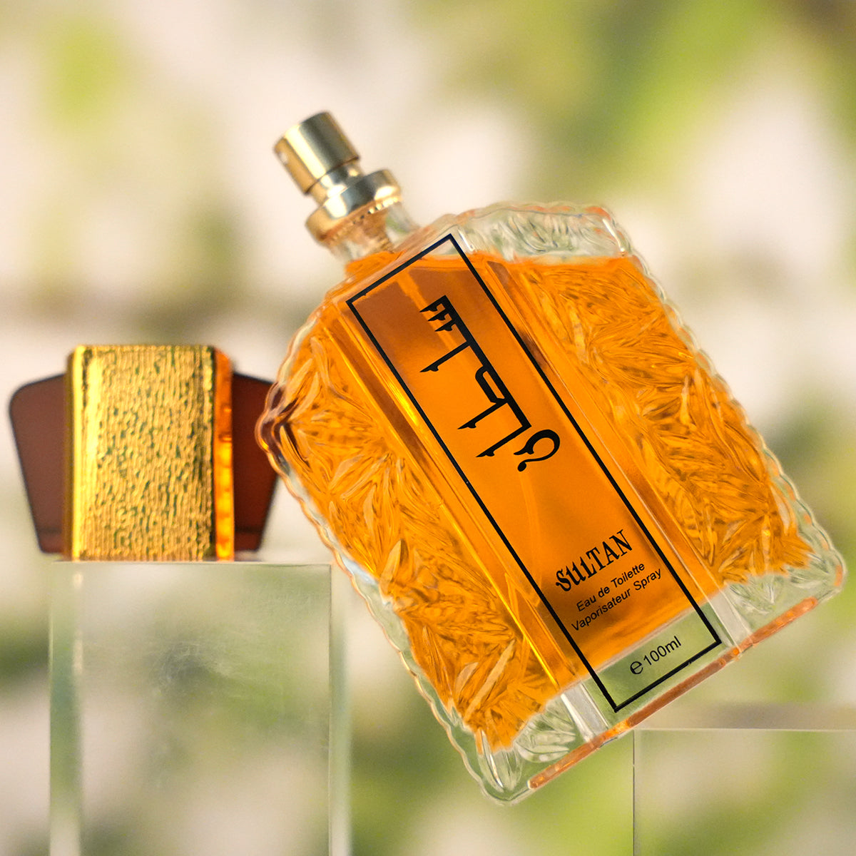 Niche Long-Lasting Fragrance Perfume 100ml — Unisex Eau De Parfum for Men & Women — Prime Trend Market