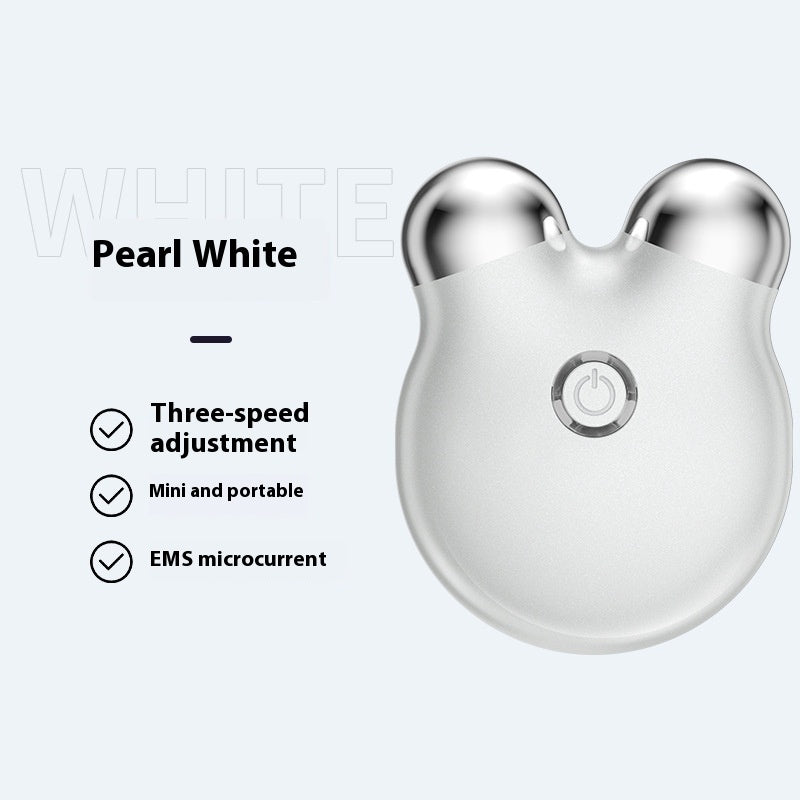 Luxury Bear-Face Microcurrent EMS Facial Sculpting Device — Anion Skin Renewal & Color Light Therapy — Eliza & Tuan
