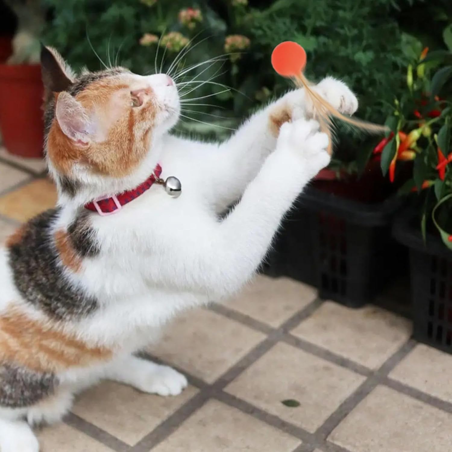 PawBounce High Elastic Jumping Ball Cat Toy – Interactive Colorful Rubber Ball for Cats & Dogs | 3 Colors — Prime Trend Market
