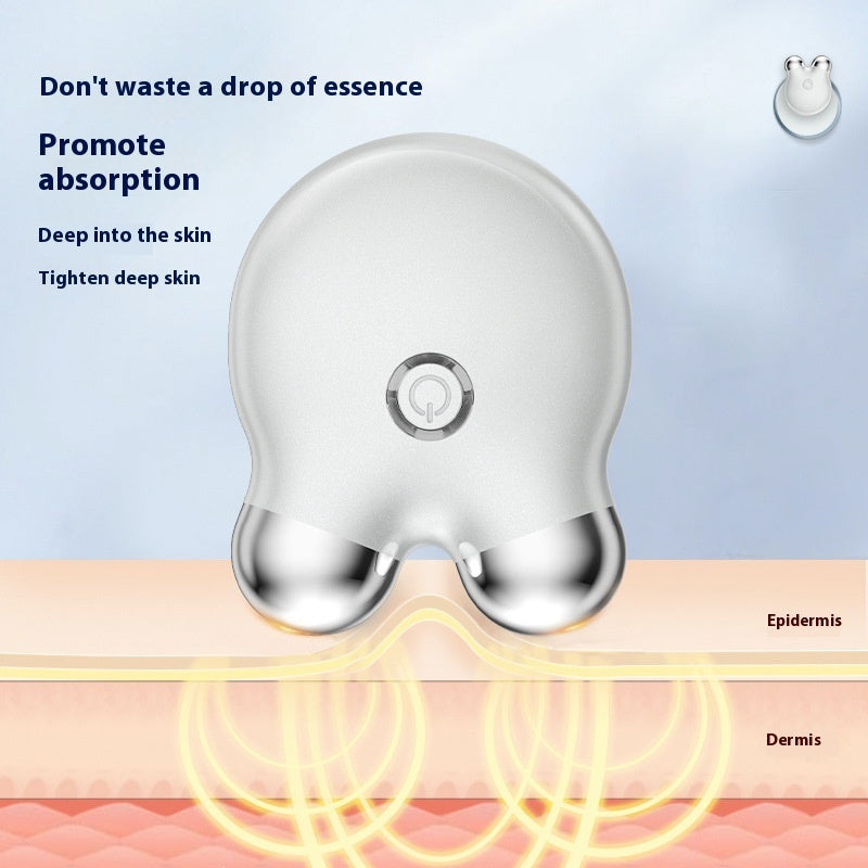 Luxury Bear-Face Microcurrent EMS Facial Sculpting Device — Anion Skin Renewal & Color Light Therapy — Eliza & Tuan