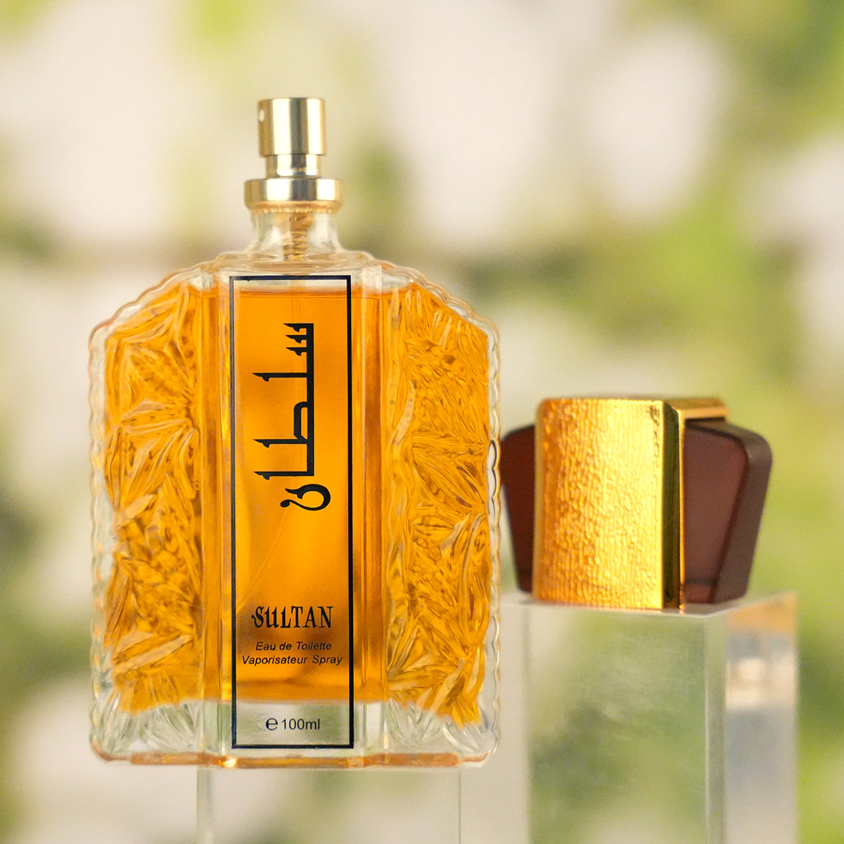 Niche Long-Lasting Fragrance Perfume 100ml — Unisex Eau De Parfum for Men & Women — Prime Trend Market