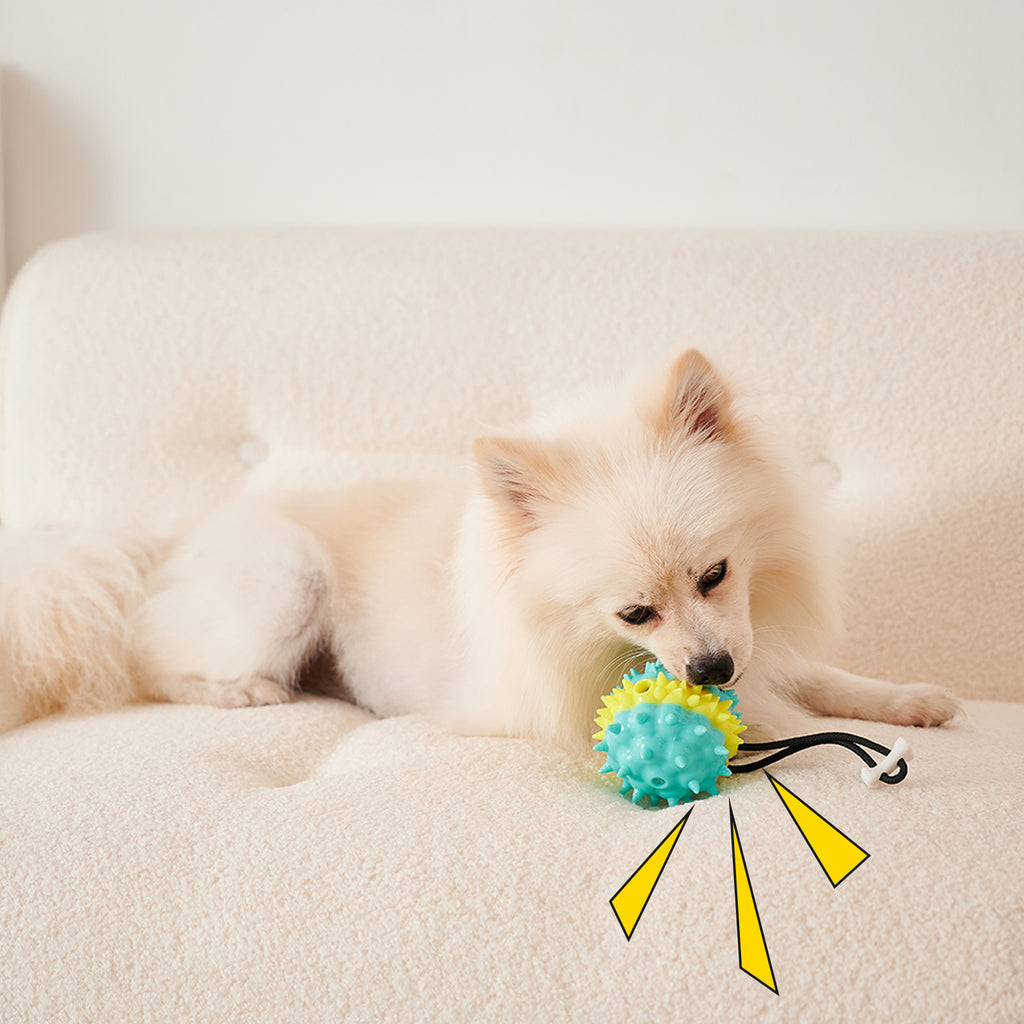PawTreat 3-in-1 Rope Squeaky Leaking Food Ball Toy – Interactive Treat Dispenser for Cats & Dogs — Prime Trend Market