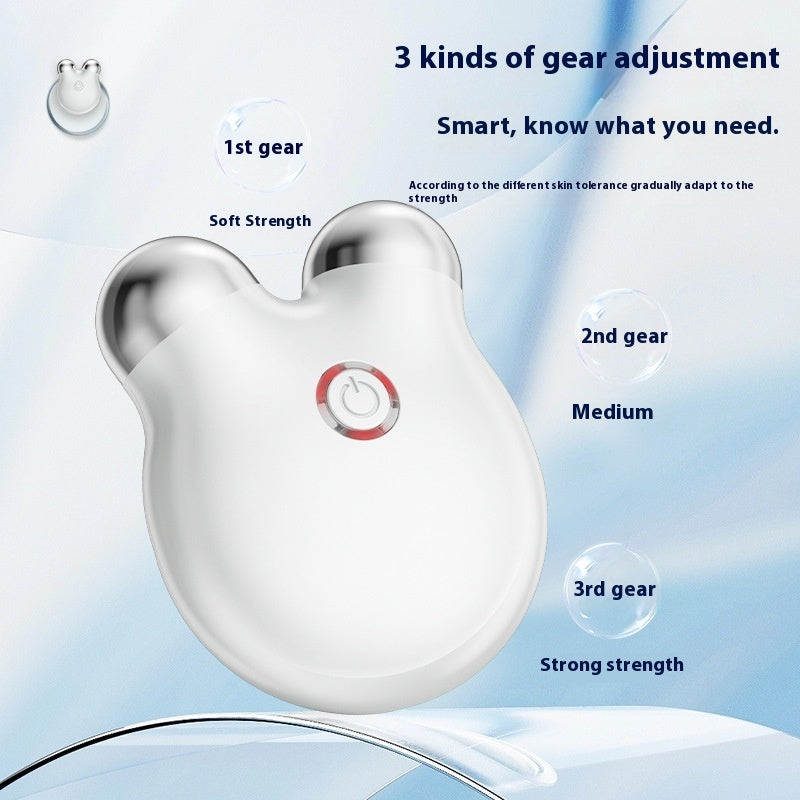Luxury Bear-Face Microcurrent EMS Facial Sculpting Device — Anion Skin Renewal & Color Light Therapy — Eliza & Tuan