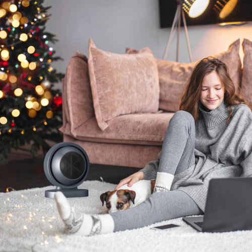 380W Portable Desktop Space Heater — 3S Fast Heat, 30° Tilt, Quiet & Safety Protection — Prime Trend Market
