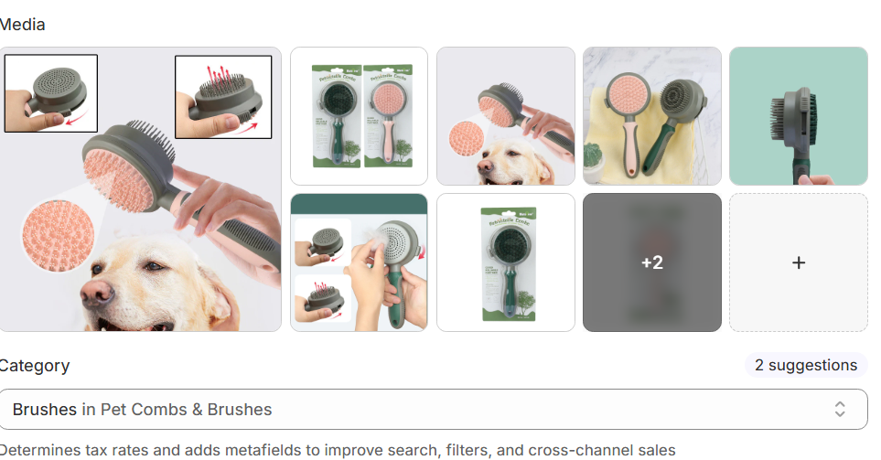 Pet Self-Cleaning Slicker Brush — Double-Sided Grooming Comb — Prime Trend Market
