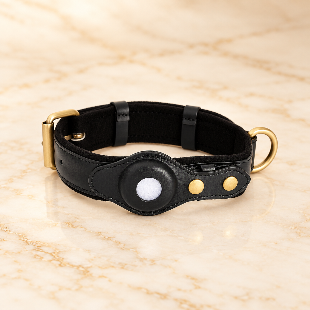 PawShield Leather GPS Tracker Collar Set – AirTag Compatible Dog Collar with Protective Case | 4 Colors, 3 Sizes
