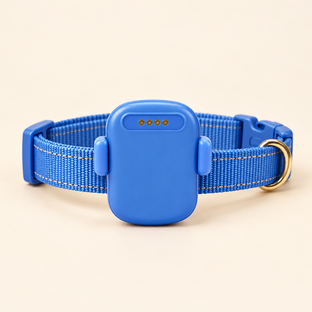 SmartPaw GPS pet tracker on collar